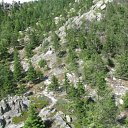 ���� ������� Cat's., �����, 43 ���� - ��������� 4 ������ 2009 � ������ ��� ������������� �������� ������� ������ ����� - �������