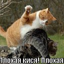 ���� ������, ������, 35 ��� - ��������� 23 ������� 2012 � ������ ���� ����������
