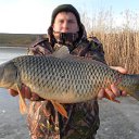 ���� ����, ����������, 41 ��� - ��������� 17 ��� 2011 � ������ ���� ����������