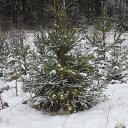 ���� ������, ������� ���� - ��������� 4 ������ 2012 � ������ ���� ����������