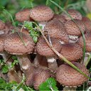 ���� ������, ���������� - ��������� 13 ������� 2011 � ������ ���� ����������