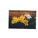 ���� ������� 224 ����, ������ - ��������� 17 ������� 2013 � ������ ������ � �� ������