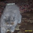 ���� ���������, ����������, 35 ��� - ��������� 26 ������ 2011 � ������ ���������=)�
