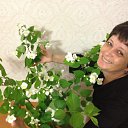 ���� Elena, ����������������� - ��������� 20 ��� 2012 � ������ ���� ����������