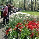 ���� �����, �����-���������, 51 ��� - ��������� 18 ��� 2013 � ������ ���� ����������