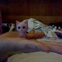  , --, 22  -  7  2012   