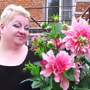 ���� ������, ������, 61 ��� - ��������� 15 ������� 2012 � ������ ���� ����������