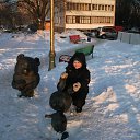 ���� ����, ���������, 42 ���� - ��������� 12 ����� 2012 � ������ ���� ����������