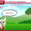  @@,  -  8  2010   PetLove