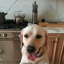 ��� ������ �� ������� �������