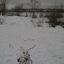 ���� ������, �������, 29 ��� - ��������� 27 ��� 2010 � ������ �����