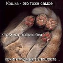 ���� ������, �����������, 50 ��� - ��������� 16 ������ 2010 � ������ ������ � ���������� ����������