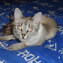 ���� �����, �����������, 54 ���� - ��������� 30 ������ 2012 � ������ ���� ����������