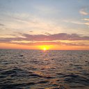 ���� ������, �����-���������, 47 ��� - ��������� 19 ����� 2010 � ������ �������