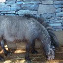 ���� �������, ������������ - ��������� 2 ���� 2010 � ������ �������