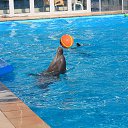 ���� ������, ����� - ��������� 17 ���� 2013 � ������ ���� ����������