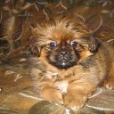 ���� �������, ������, 42 ���� - ��������� 25 ��� 2011 � ������ �������