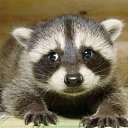 ���� Nika, ���������, 85 ��� - ��������� 10 ������ 2010 � ������ ������ �����!�