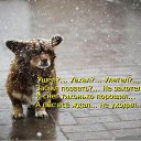 ���� �����, ������, 26 ��� - ��������� 25 ���� 2010 � ������ ���������