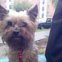 ���� ����, ������� - ��������� 17 ������ 2013 � ������ ���� ����������