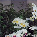 ���� ����. ��������� �� ��!, ������, 72 ���� - ��������� 13 ������ 2011 � ������ ��������