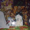 ���� ������, ��������� - ��������� 31 ������ 2011 � ������ ����...�