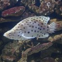 ���� �����, �������������, 25 ��� - ��������� 28 ���� 2013 � ������ ������.�