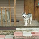 ���� "@����", �����-���������, 25 ��� - ��������� 6 ������� 2010 � ������ ��@��� �@��� �@��Ȼ