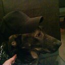 ���� ���������, �����������, 35 ��� - ��������� 16 ������� 2010 � ������ ������