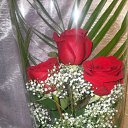 ���� �����, ������� - ��������� 4 �������� 2010 � ������ �������� �����......�