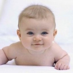 ��������, ��������, 39 ���