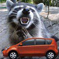 ���� �������, ������, 45 ��� - ��������� 21 ������� 2012 � ������ ���� ����������