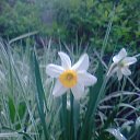  ,  -  24  2013    ɻ