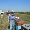 ���� ������, ������, 57 ��� - ��������� 4 �������� 2011 � ������ ���� ����������