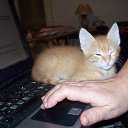 ���� �������, ��������� - ��������� 18 ��� 2013 � ������ ���� �������� � ������ �����...�