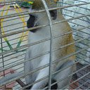 ���� �������, ������������ - ��������� 2 ���� 2010 � ������ �������