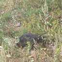 ���� �����, �����-��������� - ��������� 16 �������� 2011 � ������ ������-��������"������"�