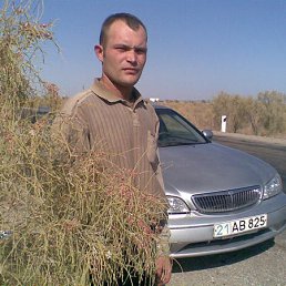 ������, �����, 42 ����