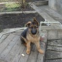 ���� ������, ������, 60 ��� - ��������� 28 ���� 2011 � ������ ���� ����������