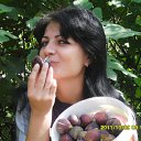 ���� ������� ����!, ������, 54 ���� - ��������� 12 ������� 2011 � ������ ������� �������