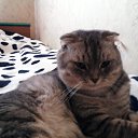 ���� �������, ���������, 32 ���� - ��������� 5 ��� 2011 � ������ ���� ���������*�