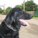 ���� Romantic, ����, 33 ���� - ��������� 2 ������ 2009 � ������ �� � ������