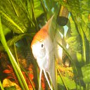 ���� �������, ������, 48 ��� - ��������� 24 ������� 2010 � ������ ���� ��������