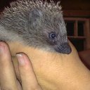 ���� �����, �����-���������, 48 ��� - ��������� 16 �������� 2009 � ������ ���������� ������