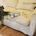 ���� ������, ������� - ��������� 8 ������ 2011 � ������ ������ ��� �����...�