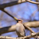 ���� �����, �������������, 25 ��� - ��������� 28 ���� 2013 � ������ ������������. ������� ��������� ����������� 2010.�