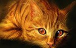 � ���� �������, ������ �� ������� ��������... �� ������� ���� ����������