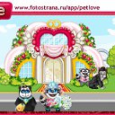  Pers, , 39  -  27  2010   PetLove