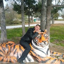 �������, �����, 28 ���