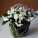 ���� �����, ������, 62 ���� - ��������� 14 ���� 2013 � ������ ���� ���������